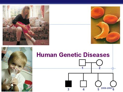 human genetic diseases     grade lesson planet