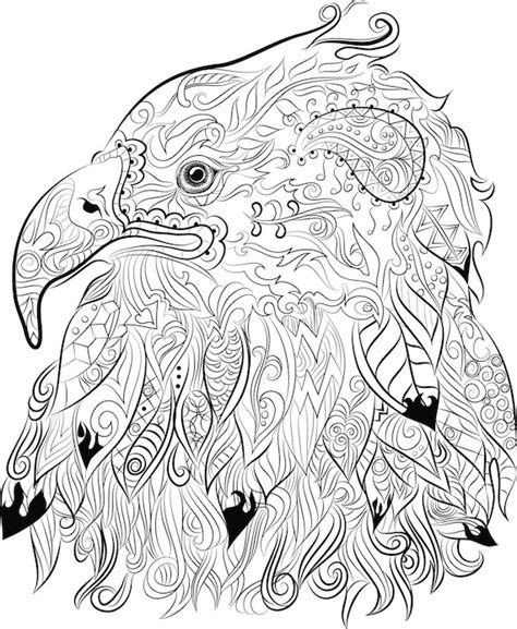 ideas  eagle coloring pages  adults home family