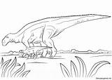 Maiasaura Coloring Pages Printable Cretaceous Dino Period sketch template