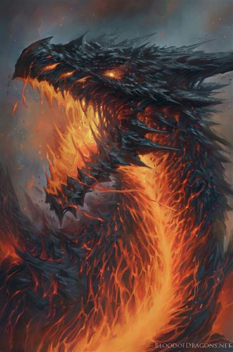 fire dragon ideas  pinterest dragons red dragon