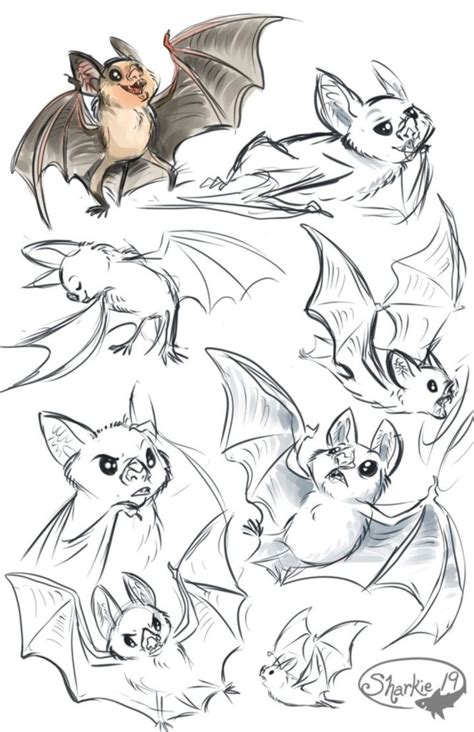 bat drawing reference  sketches  artists