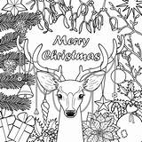 Christmas Coloring Adult Pages Print Reindeer Card sketch template