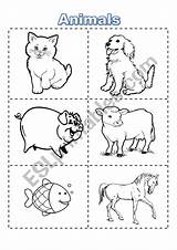 Flashcards Color Cut Animal Say Read Worksheets Worksheet sketch template