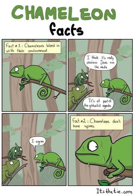 Chameleon Pictures And Jokes Funny Pictures And Best Jokes