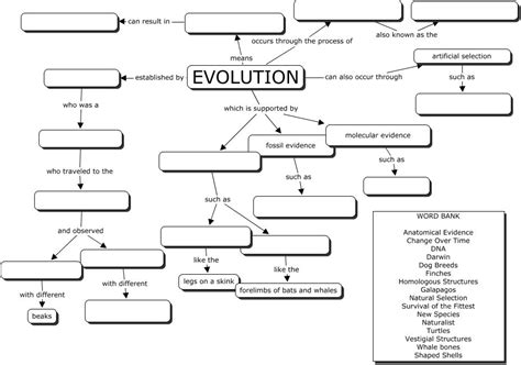 theory  evolution theory  evolution concept map answers
