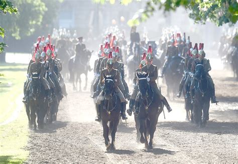 spot  twelve members   household cavalry daily mail