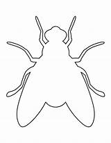 Fly Pattern Printable Templates Animal Outline Insect Template Patterns Patternuniverse Drawing Stencils Crafts Stencil Print Craft Bug Cut Use Shape sketch template
