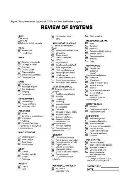review  systems checklist aulaiestpdm blog