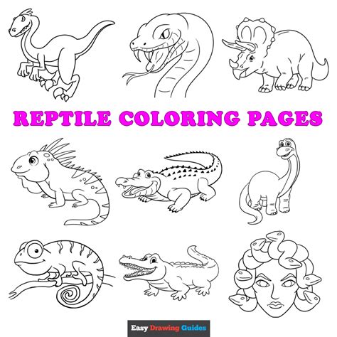 printable reptile coloring pages  kids