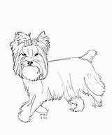 Chien Yorkshire Ancenscp sketch template