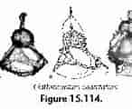 Afbeeldingsresultaten voor "clathrocorys Teuscheri". Grootte: 146 x 119. Bron: www.uv.es