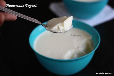 thick curd homemade yogurt full scoops  food blog  easysimple tasty