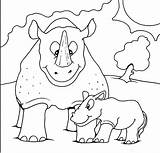 Mewarnai Hewan Badak Belajar Rhinoceros Rhino Koleksi Gajah Terkait sketch template