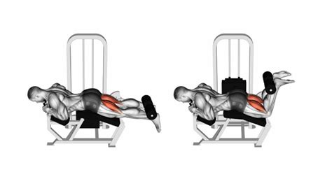 Curl Femoral Tumbado En MÁquina Ejercicios Para Piernas Youtube