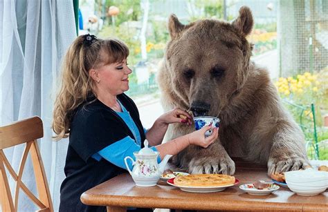 russian couple adopted an orphaned bear 23 years ago and they still live together bear photos