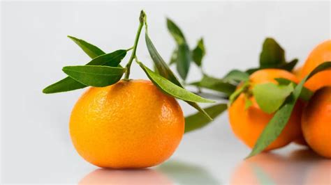 mandarinen kuechentips infos fudiionline