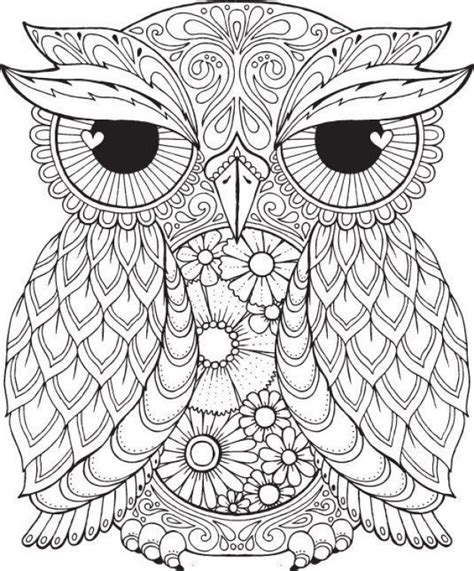 difficult coloring picture   owl  print  adults