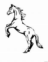 Horse Coloring Pages Rearing Printable Print sketch template