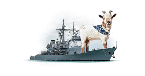 report long hours  nosy   pet goat aboard cruiser lake erie