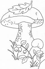 Coloring Pages Embroidery Pattern Pilze Fall Bilder Printable Herbst Patterns Malen Basteln Mushroom Kids Templates Malvorlagen Zentangle Dekoration Zum Ausmalen sketch template