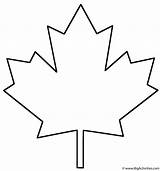 Maple Leaf Coloring Template Colouring Choose Board Pages Printable sketch template