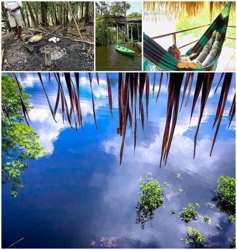 amazon rainforest  highlights