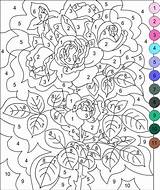 Number Color Coloring Pages Printable Mandala Paint Books Printables Colouring Nicole Peters Nancy sketch template