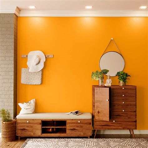 orange vision house paint colour shades  walls asian paints