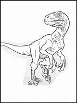 Jurassic Velociraptor Ausmalbilder Dinosaurier Raptor Drawing Dinosaurs Colouring Faciles Drawings Websincloud sketch template