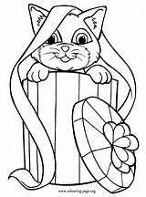 Cat Coloring Cartoon Pages Popular Box sketch template