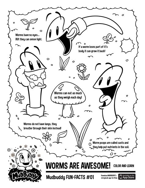 mudbuddy fun facts print   page   fun coloring