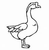Goose Coloring Pages Animal Color Animals Kids Swan Endangered Printable Online Sheets Print Back Results sketch template