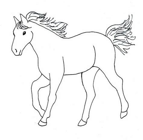 coloring pages  horses printable kids colouring pages