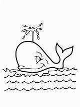 Shamu Whale sketch template