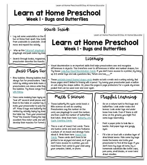 homeschool preschool lesson plans daisy blake