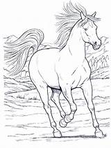 Coloring Pages Horses Adult Horse Books Kolorowanki Depending Obtain Effects Various Card Use Adults sketch template