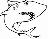 Haai Haaien Kleuterdigitaal Tekenen Tekening Dieren Sharks Kp Volwassenen Whale Gimnosperma Kleuren Océano Aplicaciones Downloaden Uitprinten Clipground sketch template