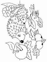 Egels Egel Leukekleurplaten Hedgehogs Verliefde Loving sketch template