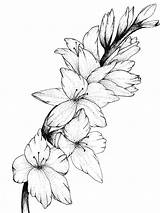 Gladiolus Drawing Print Flower Tattoo Sketch Drawings Floral Tattoos Draw Birth Gladioli Etsy Gladiolas August Flowers Original Designs Stencils Paintingvalley sketch template