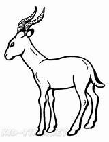 Gazelle Impala Animal Antelope sketch template