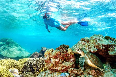 snorkeling   seychelles alphonse island