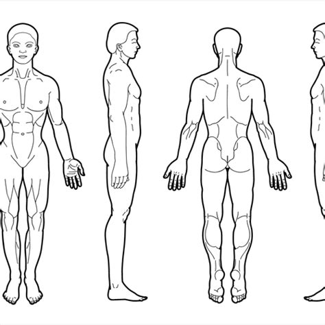 Body Diagram For Professional Massage Chart Front Back