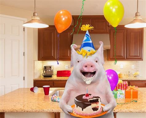 happy birthday pig pig eating cake funny happy birthday