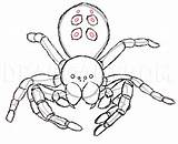 Draw Spiders Dragoart sketch template