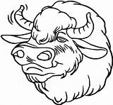 Bison Head Coloring Size Print sketch template
