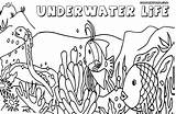 Underwater Coloring Pages Colorings sketch template