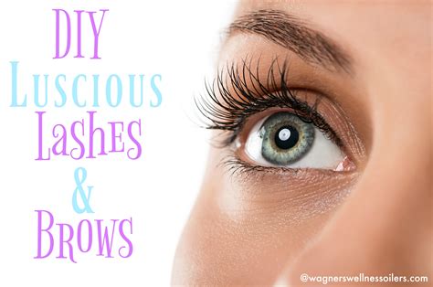diy luscious lashes brows wagners wellness oilers