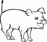 Coloring Pig Pages Porc Pigs Dessin Animated Cochon Coloriage Coloringpages1001 Do Animal sketch template