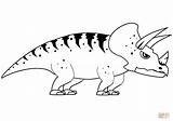 Triceratops Protoceratops Dinosaurier Triceratopo Supercoloring sketch template