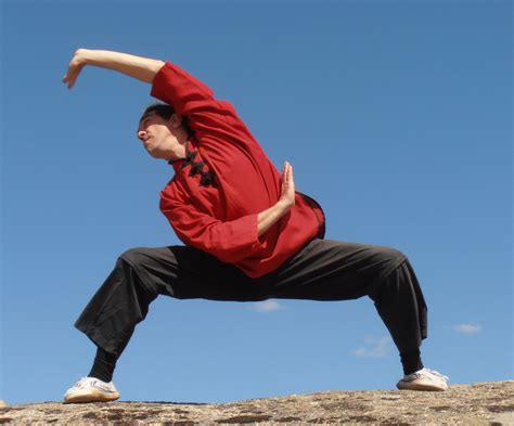 curso monitor chi kung terapeutico superior escuela qi gong janu en